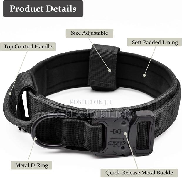All-Purpose Dog Collar for Walking and Training - main view