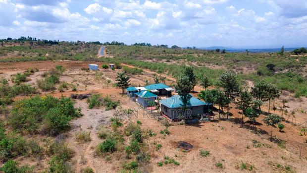 Prime Plots in Makuyu Mananja