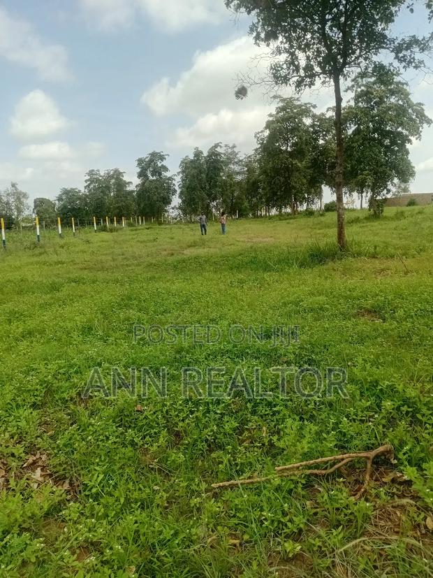 Prime Plots in Makuyu Mananja - thumbnail 6