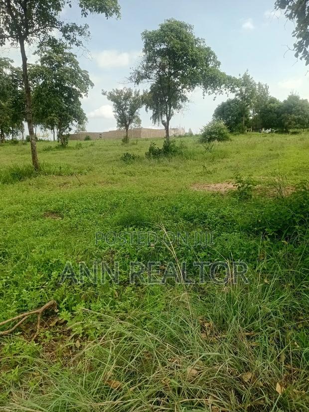 Prime Plots in Makuyu Mananja - thumbnail 7