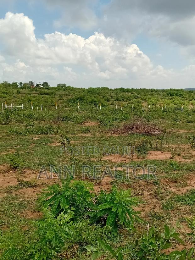 Prime Plots in Makuyu Mananja - thumbnail 9