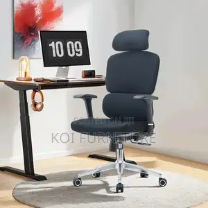 Office Chair; Orthopedic High Back Chair