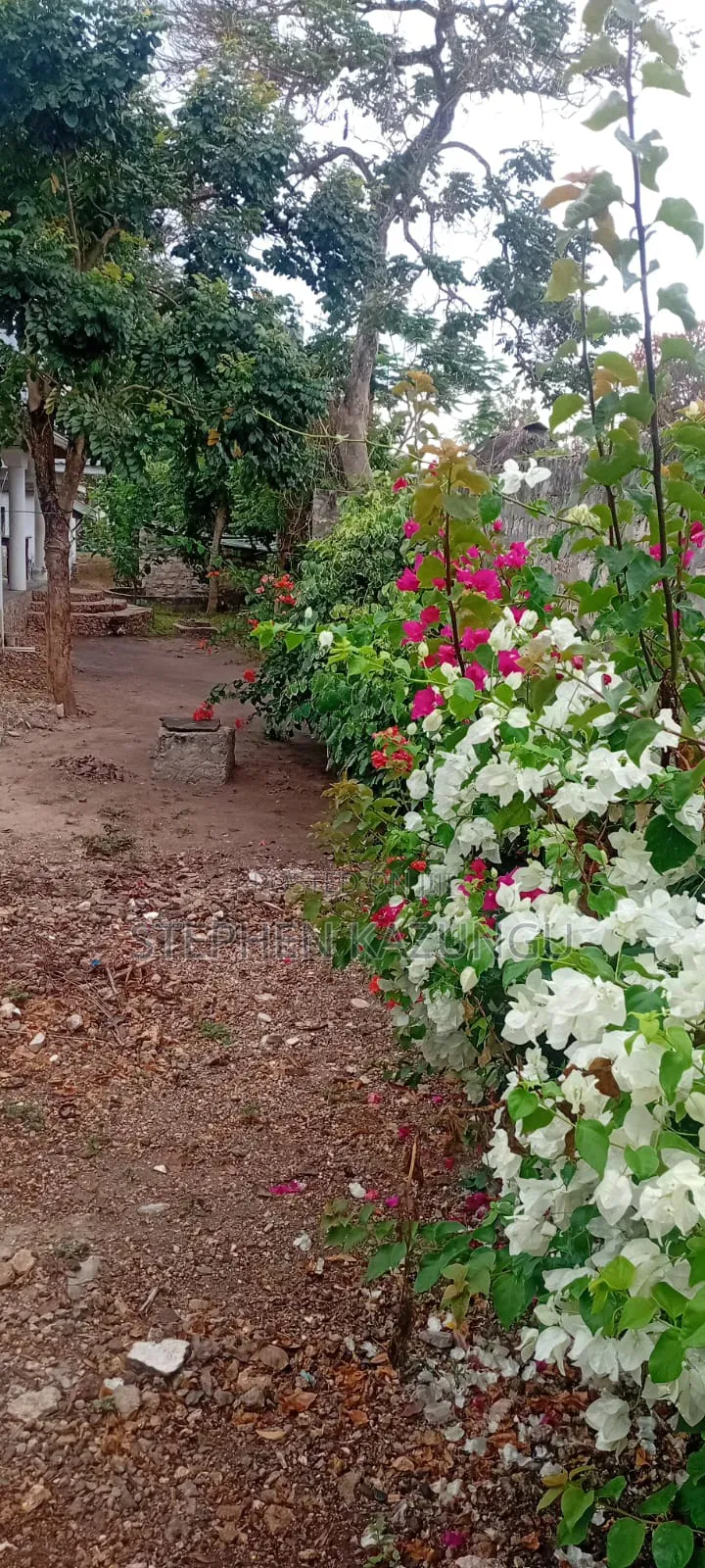 Furnished 4bdrm House in Galu Beach Zone, Ukunda for sale