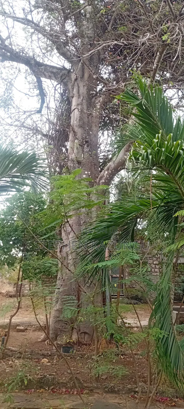 Furnished 4bdrm House in Galu Beach Zone, Ukunda for sale