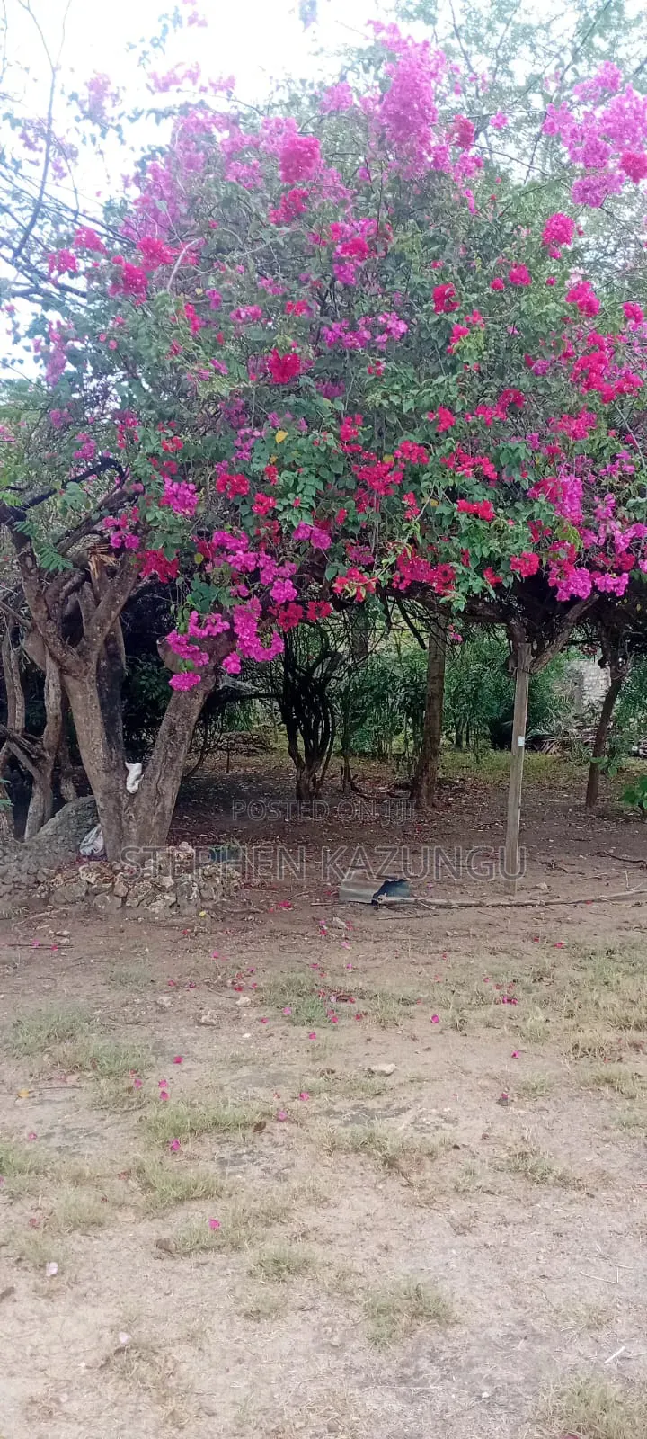 Furnished 4bdrm House in Galu Beach Zone, Ukunda for sale