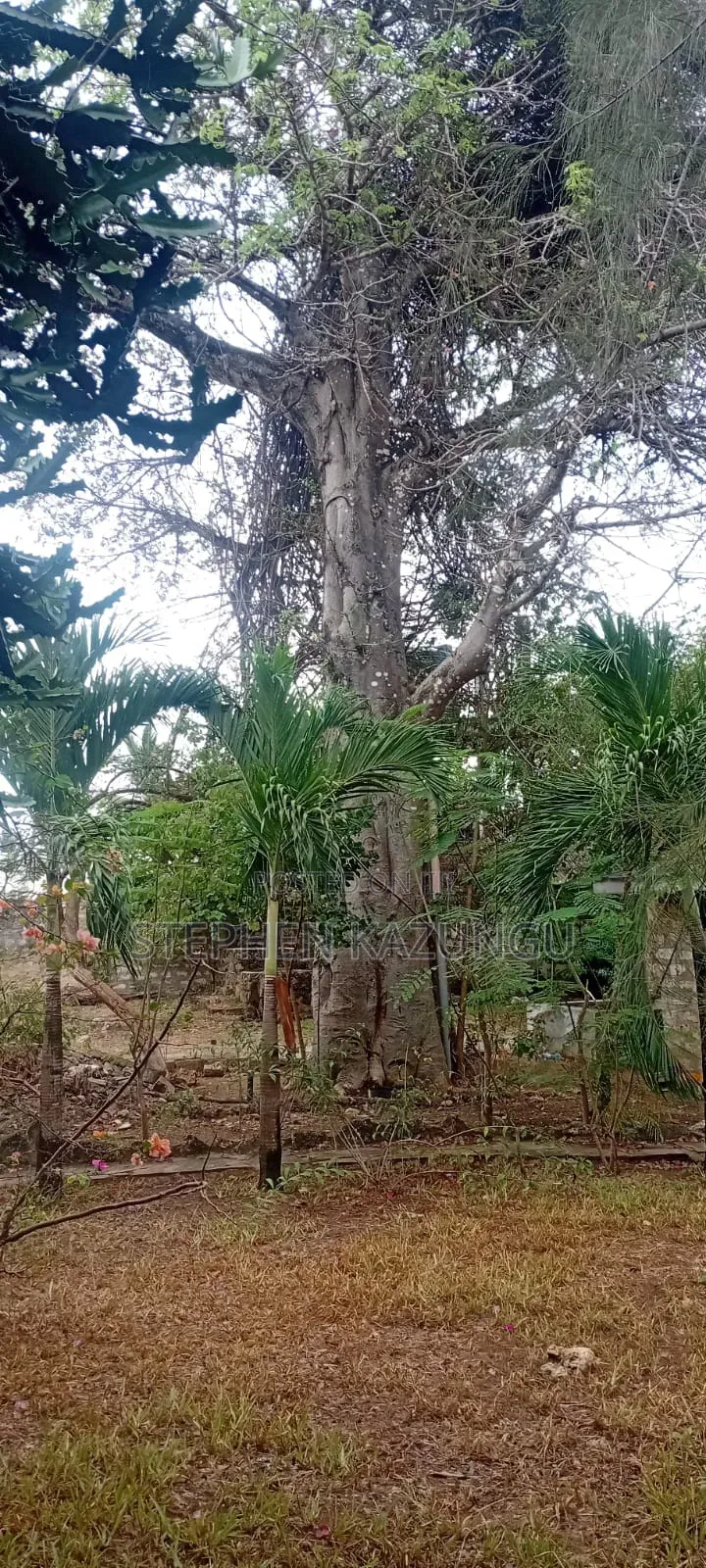 Furnished 4bdrm House in Galu Beach Zone, Ukunda for sale