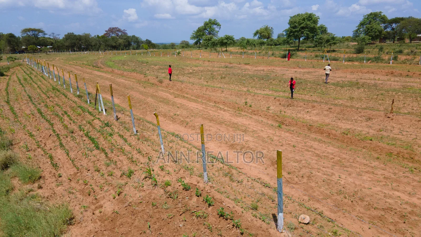 Plots for Sale in Matuu