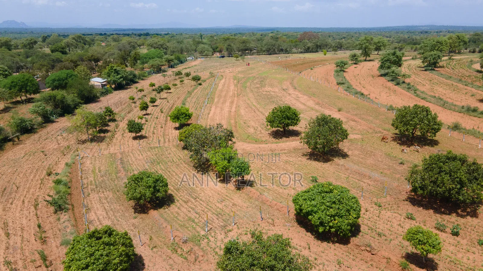 Plots for Sale in Matuu