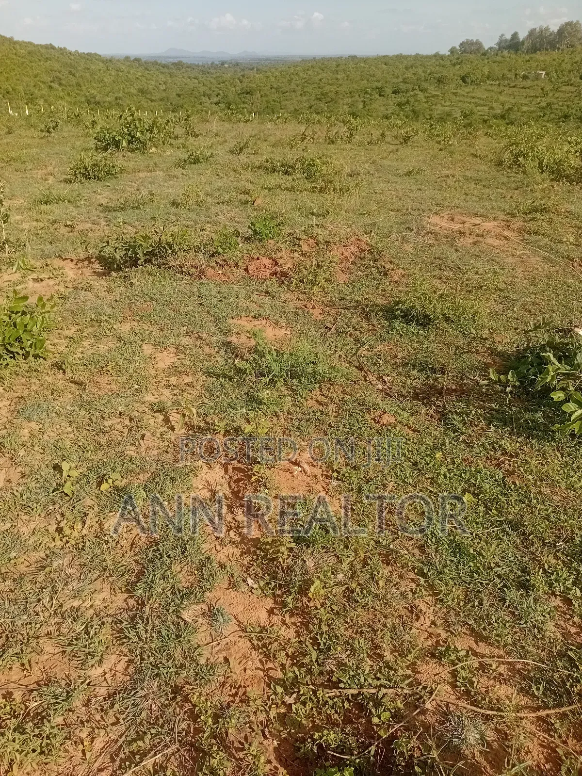 Plots for Sale in Matuu