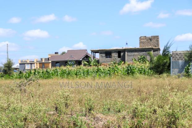 Joska Gardens - thumbnail 5