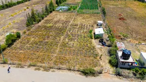 Juja Farm Affordable Eighth Acres for Sale