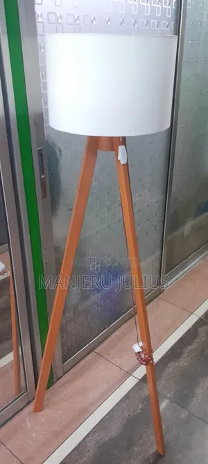 Elegant Floor Lamp