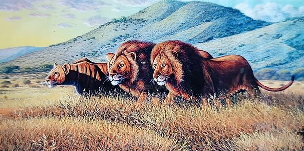 Acrylic on Canvas Real Paintings - thumbnail 3