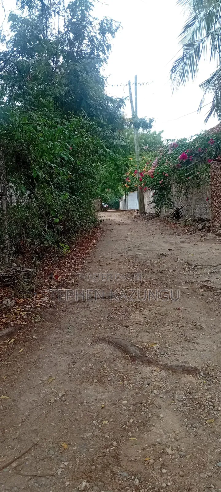 Galu Beach 3/4 Acre Plot Size With Houses, 3 Minutes to the Beach.