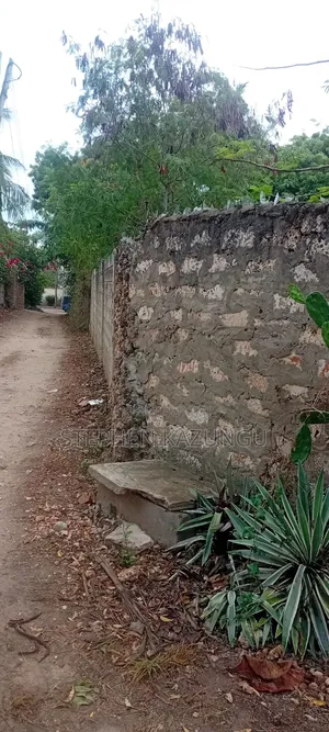 Galu Beach 3/4 Acre Plot Size With Houses, 3 Minutes to the Beach.