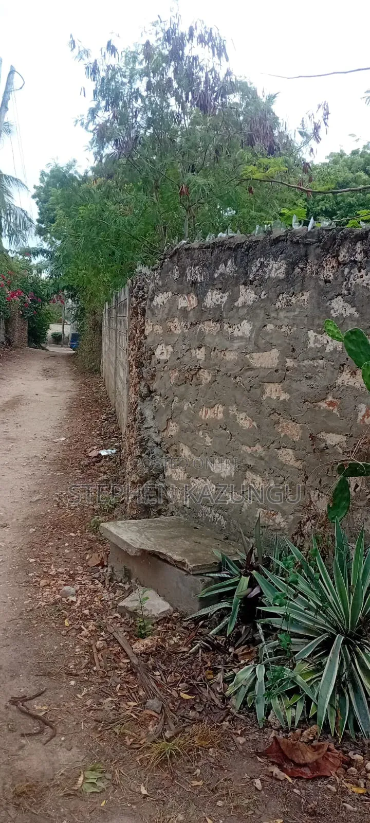 Galu Beach 3/4 Acre Plot Size With Houses, 3 Minutes to the Beach.