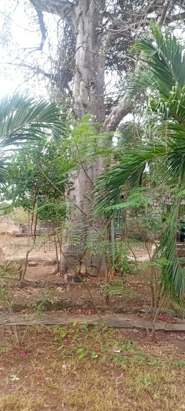 Galu Beach 3/4 Acre Plot Size With Houses, 3 Minutes to the Beach.