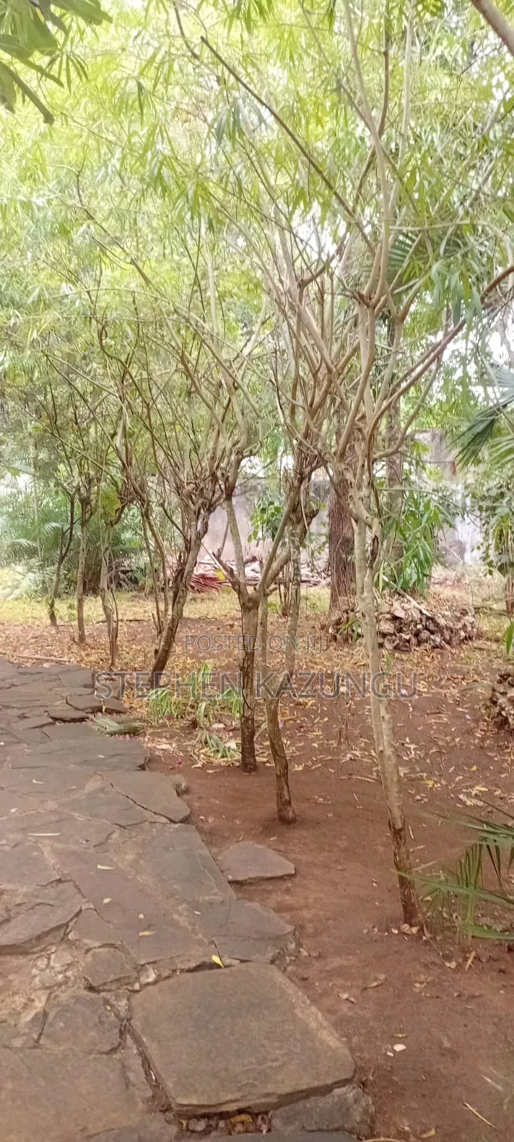 Galu Beach 3/4 Acre Plot Size With Houses, 3 Minutes to the Beach.