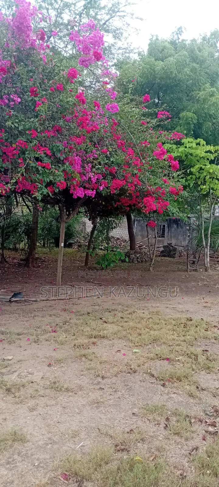 Galu Beach 3/4 Acre Plot Size With Houses, 3 Minutes to the Beach.