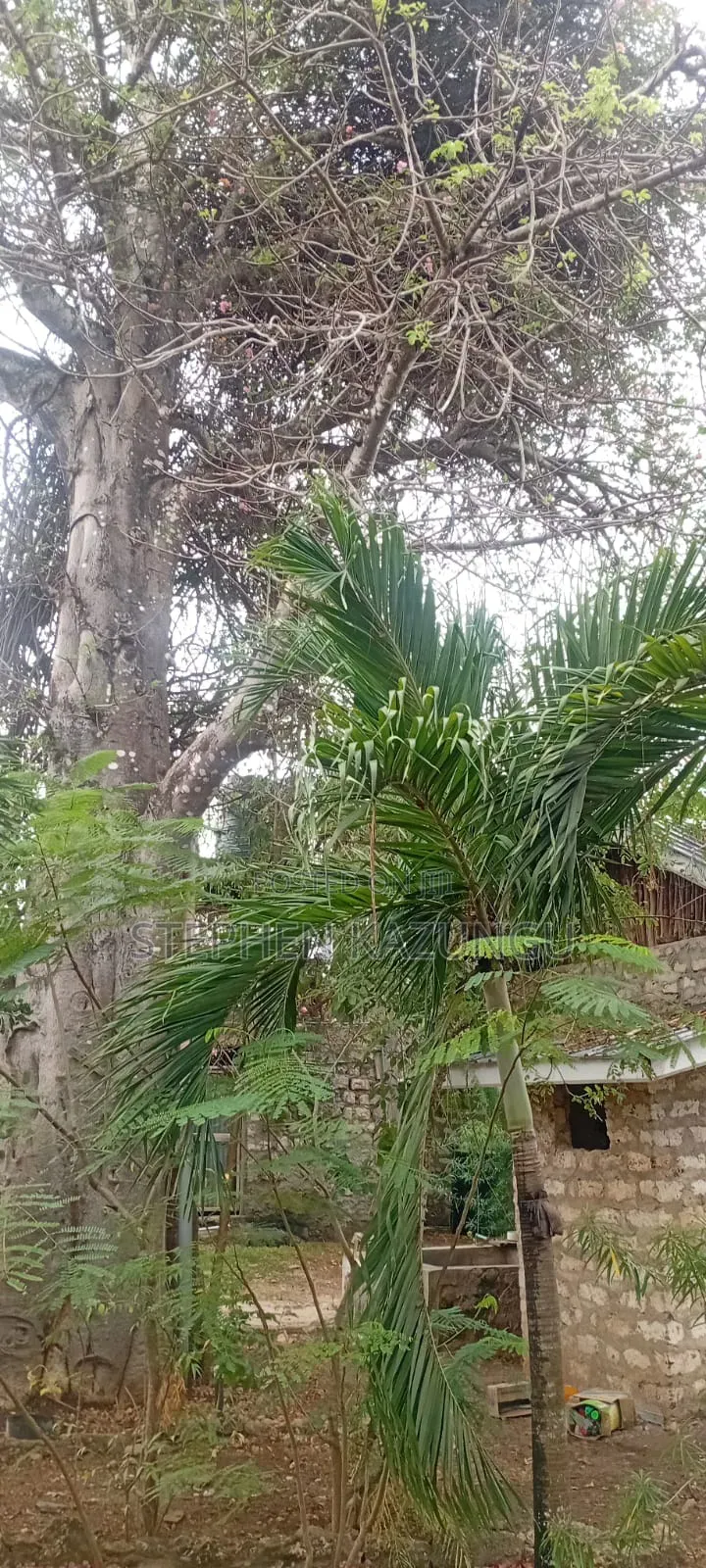 Galu Beach 3/4 Acre Plot Size With Houses, 3 Minutes to the Beach.
