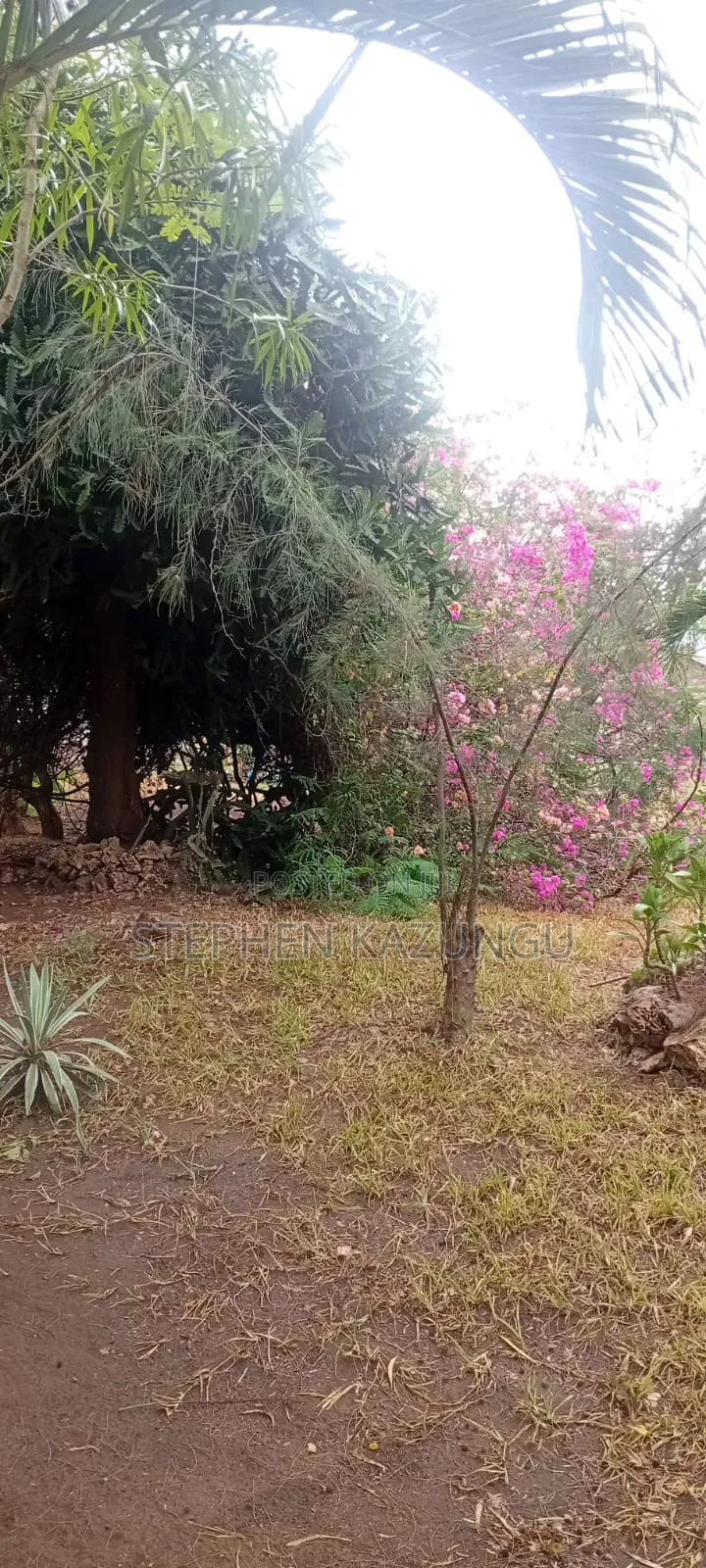 Galu Beach 3/4 Acre Plot Size With Houses, 3 Minutes to the Beach.