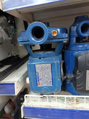 Pedrollo Water Pump 0.5hp/Electric Surface Water Pump 1hp - main view