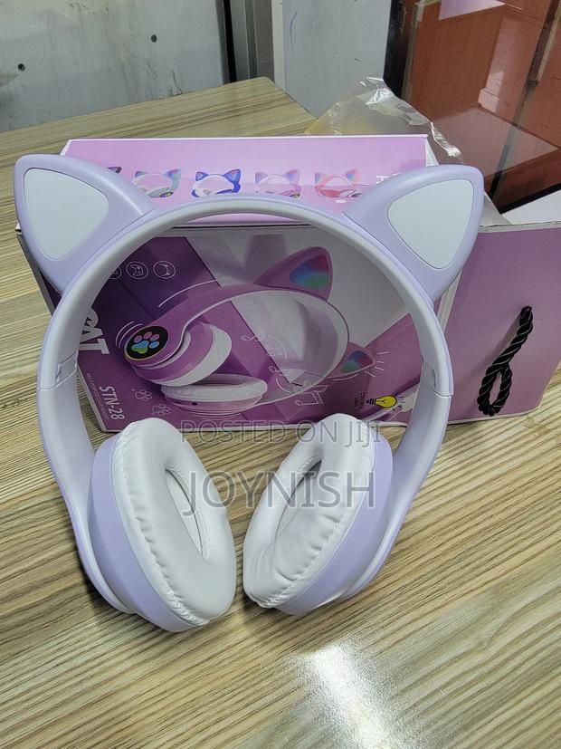 Kids Cat Ear Headphones - main view