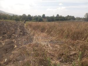 Prime Plots for Sales - thumbnail 2