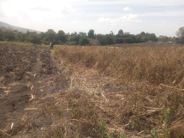 Prime Plots for Sales - main view