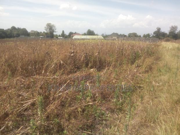 Prime Plots for Sales - thumbnail 4