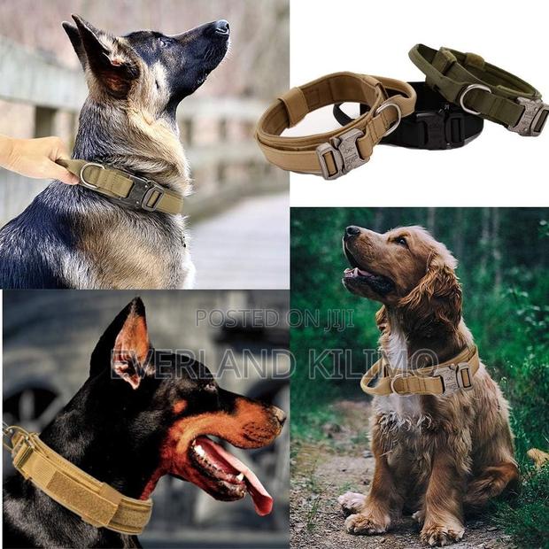 Professional Dog Collar – Heavy Duty Secure - main view