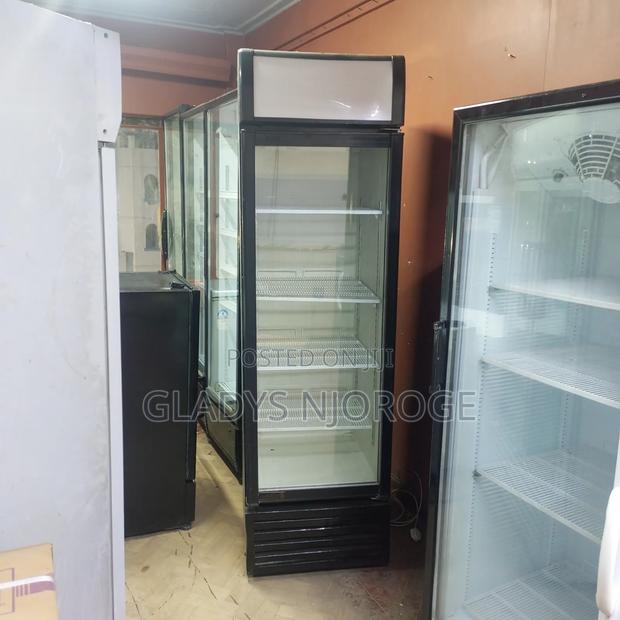 Display Fridge ( With Canopy 500l) - thumbnail 2