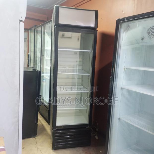 Display Fridge ( With Canopy 500l) - thumbnail 5