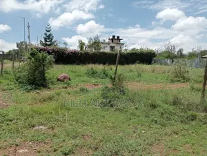 100*100 Land for Sale