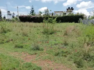 100*100 Land for Sale