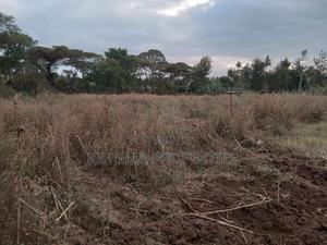 Prime Plot for Sale 1/2acre - thumbnail 2