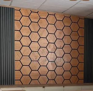 Echo Reduction Acoustic Panels