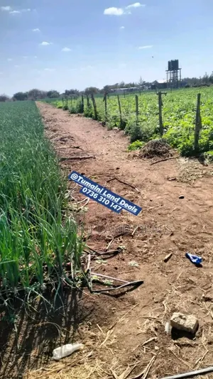 100acres Land on Sale in Mile Tisa Idea