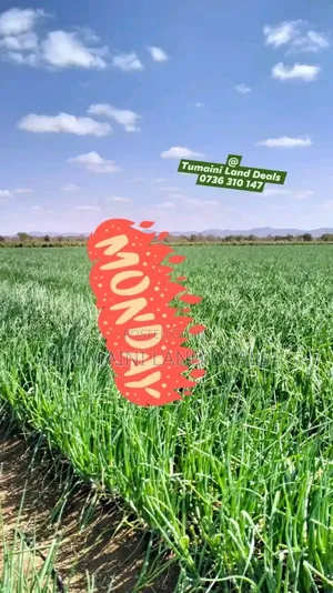100acres Land on Sale in Mile Tisa Idea