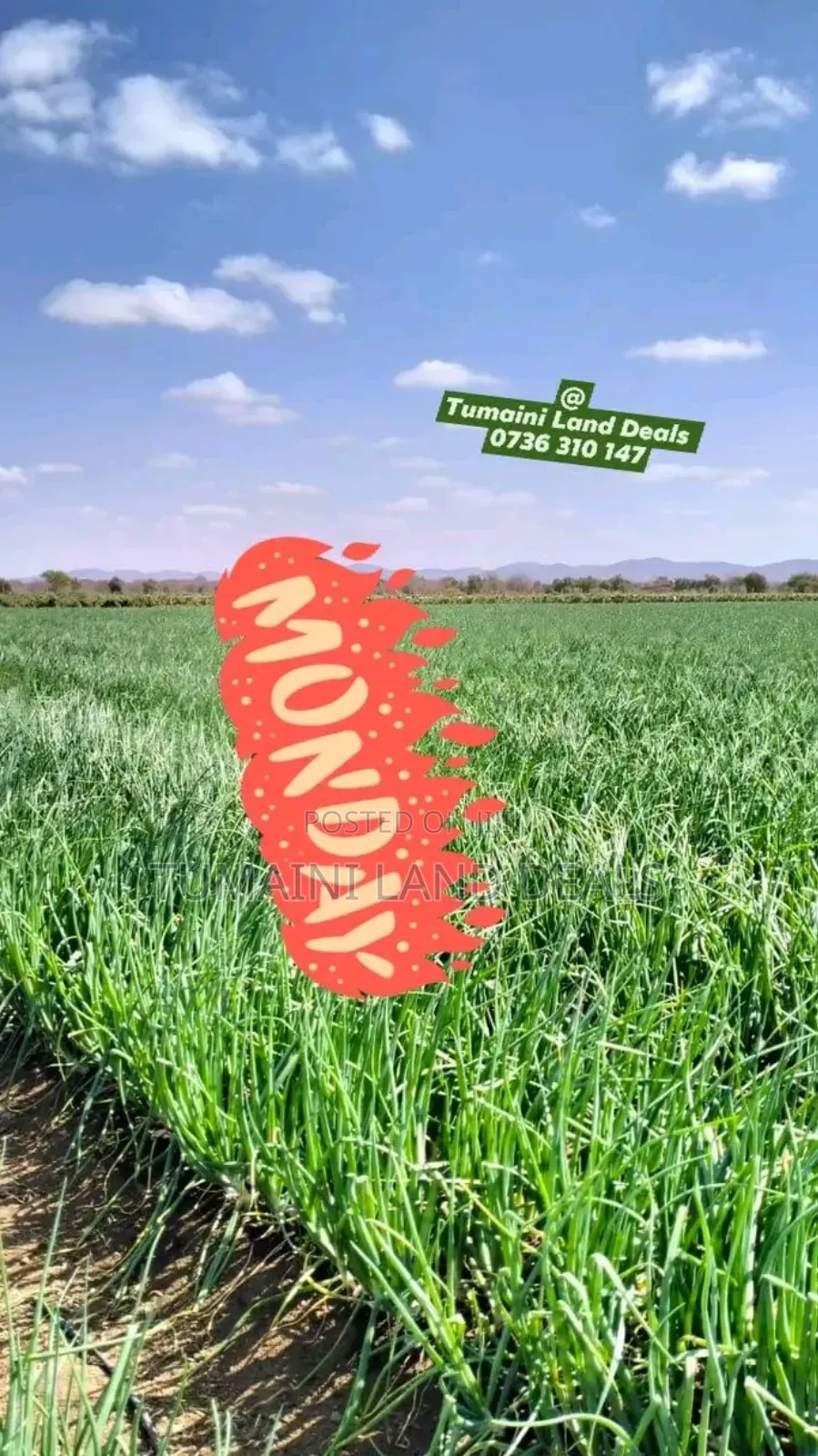 100acres Land on Sale in Mile Tisa Idea