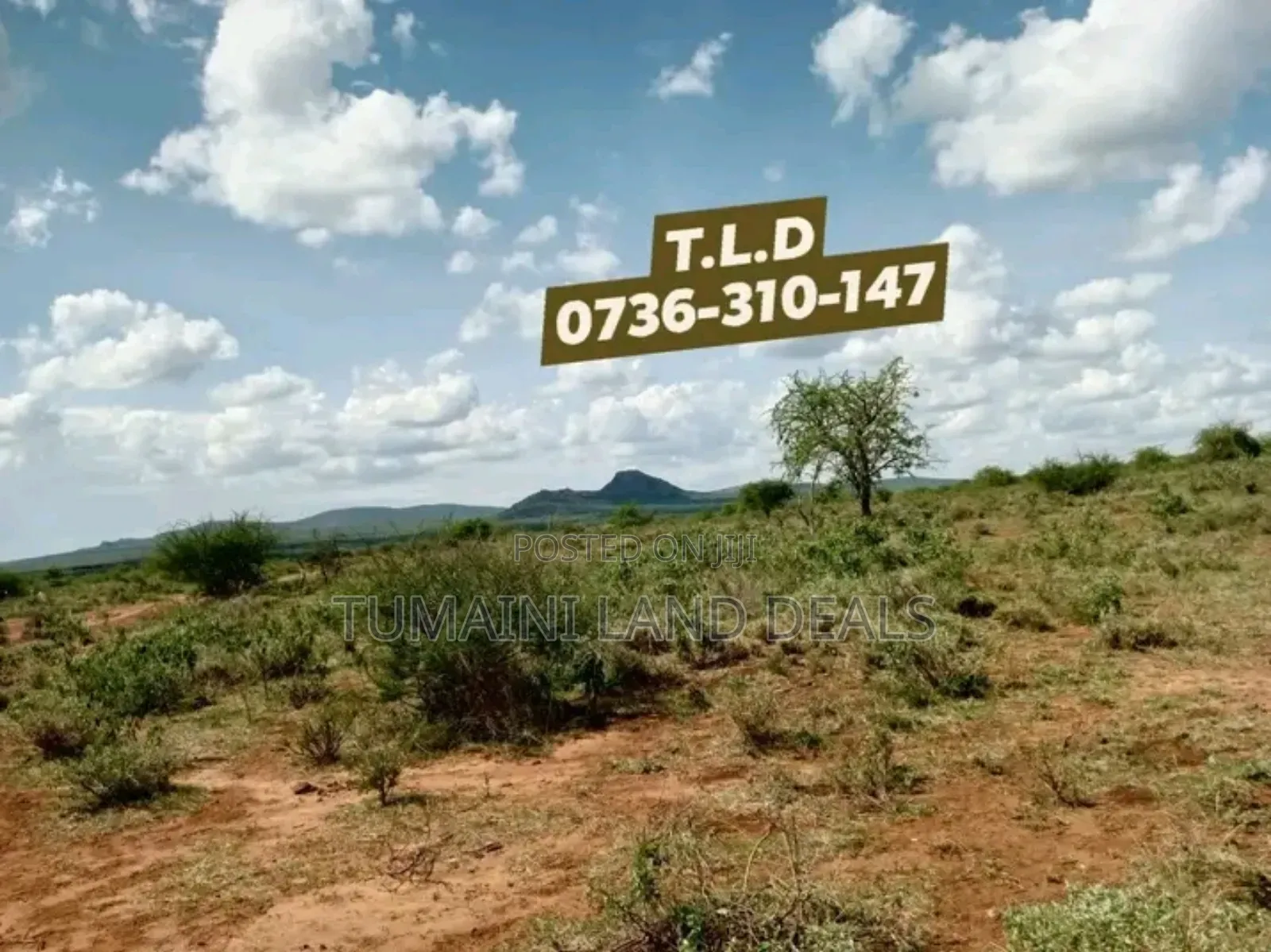 100acres Land on Sale in Mile Tisa Idea