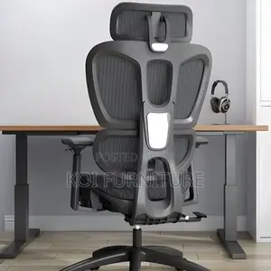 Office Chairs; Executive Office Orthopedic Chair