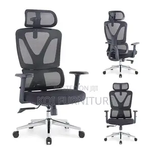 Office Chairs; Executive Office Orthopedic Chair