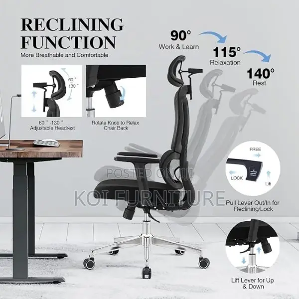 Office Chairs; Executive Office Orthopedic Chair