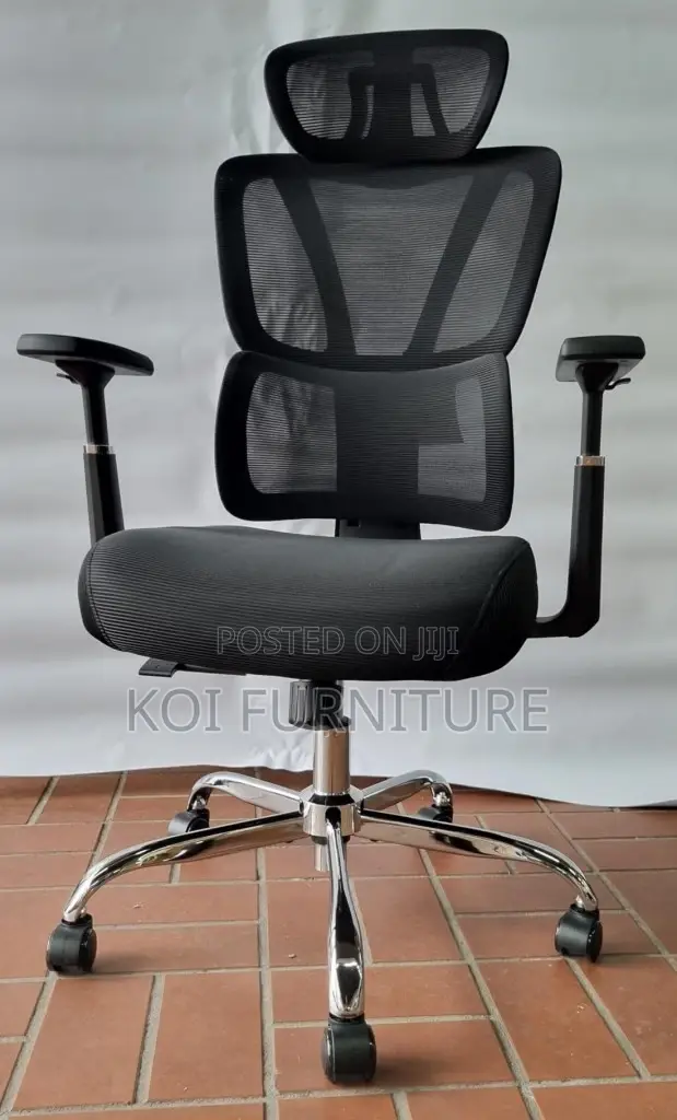 Office Chairs; Executive Office Orthopedic Chair