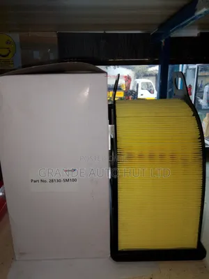 Air Filter Hyundai Hd Ex9 (Autotexx Brand)