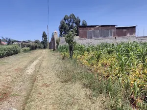 Quarter Acre for Sale in Ngecha Kiambu County