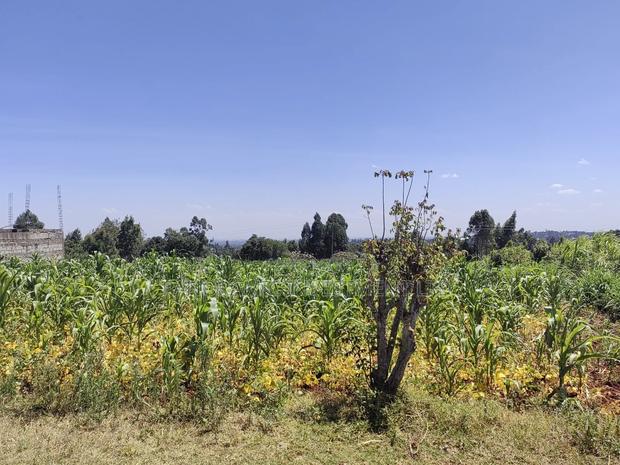 Quarter Acre for Sale in Ngecha Kiambu County - thumbnail 3
