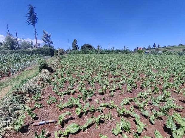 Quarter Acre for Sale in Ngecha Kiambu County - thumbnail 8
