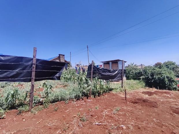 Quarter Acre for Sale in Ngecha Kiambu County - thumbnail 10